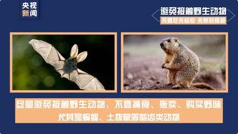 今日动物爆料最新消息新闻,最新奇特的动物新闻盘点 第2张 今日动物爆料最新消息新闻,最新奇特的动物新闻盘点 第2张